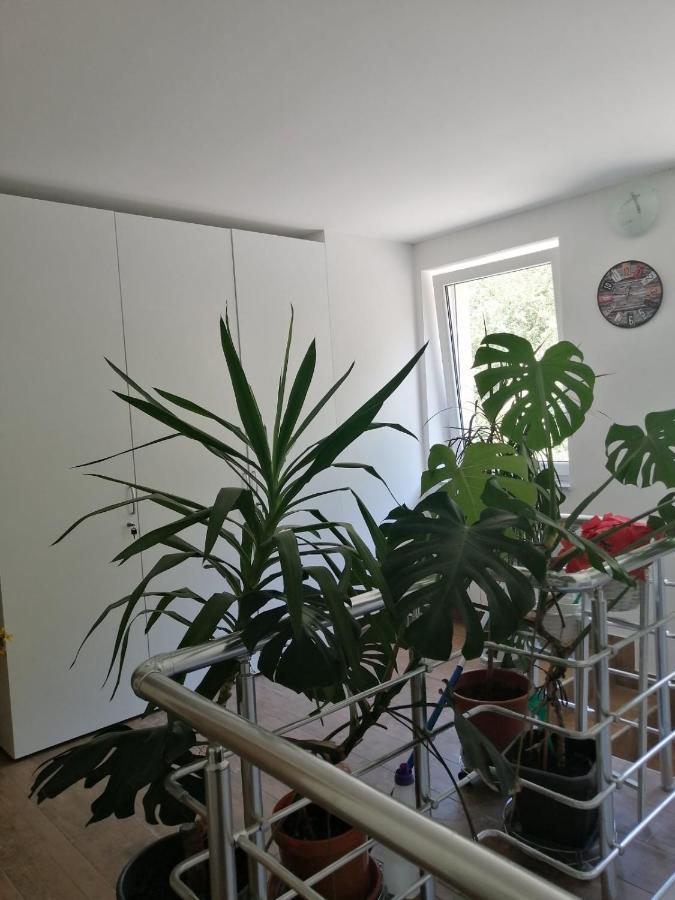 Sobe Pri Rozi Apartment Postojna Bagian luar foto