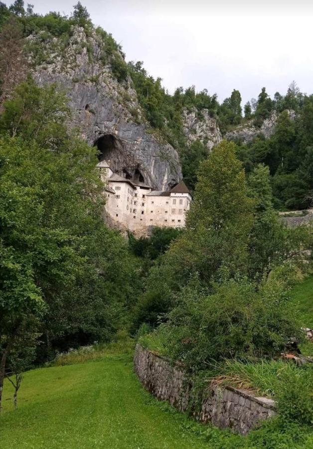 Sobe Pri Rozi Apartment Postojna Bagian luar foto