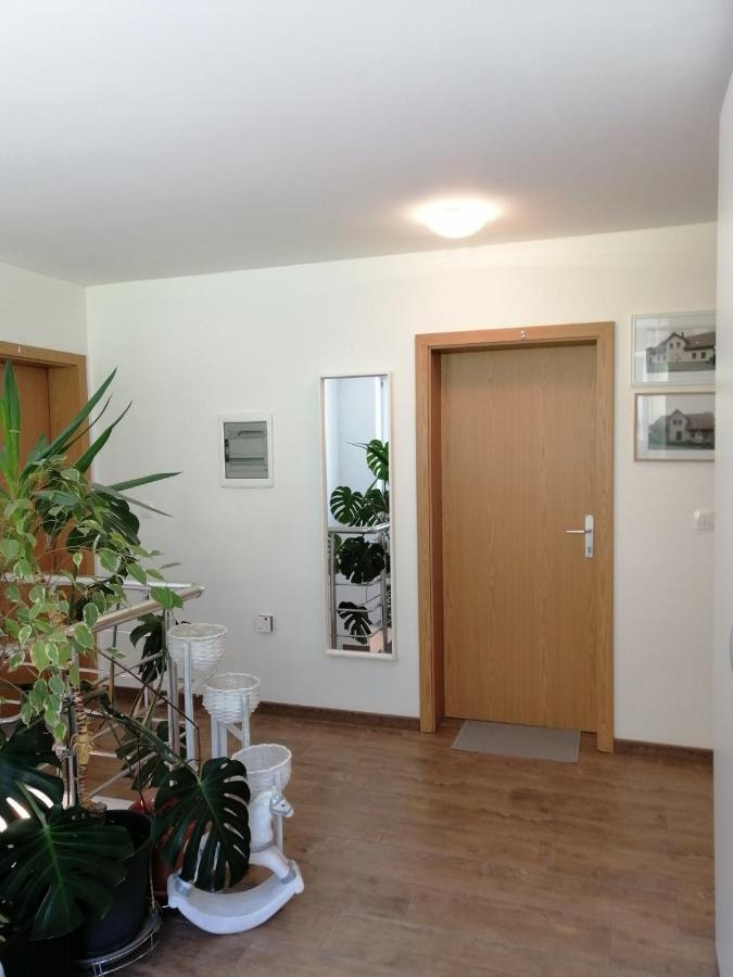 Sobe Pri Rozi Apartment Postojna Bagian luar foto