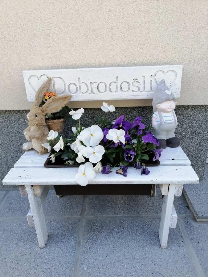 Sobe Pri Rozi Apartment Postojna Bagian luar foto
