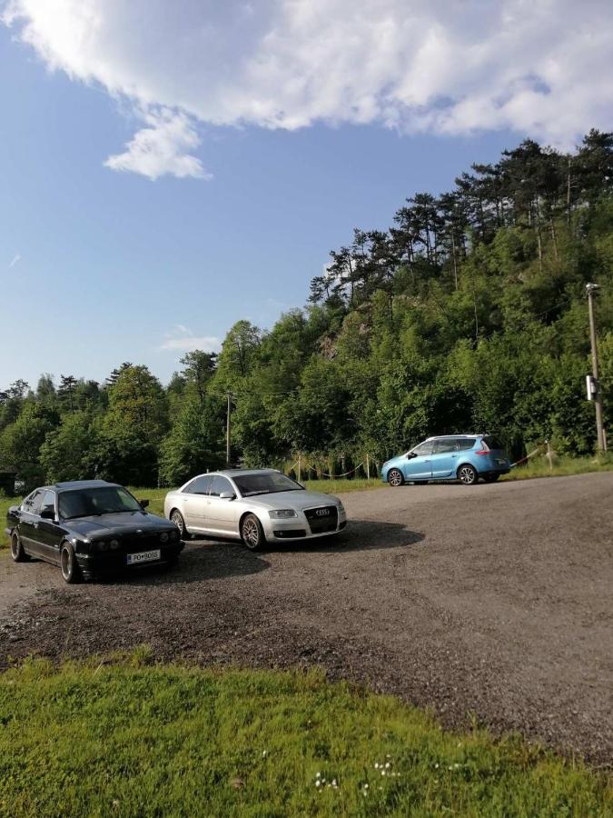 Sobe Pri Rozi Apartment Postojna Bagian luar foto