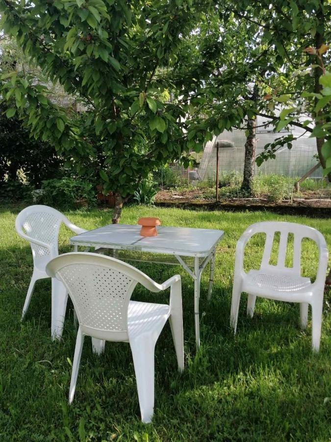 Sobe Pri Rozi Apartment Postojna Bagian luar foto