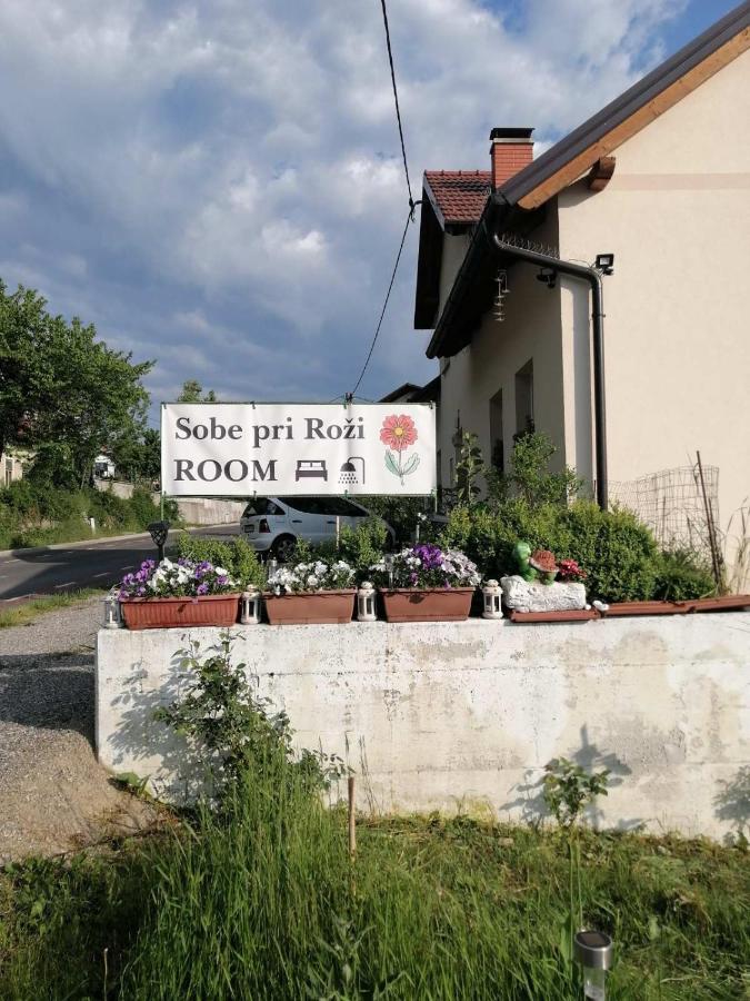 Sobe Pri Rozi Apartment Postojna Bagian luar foto