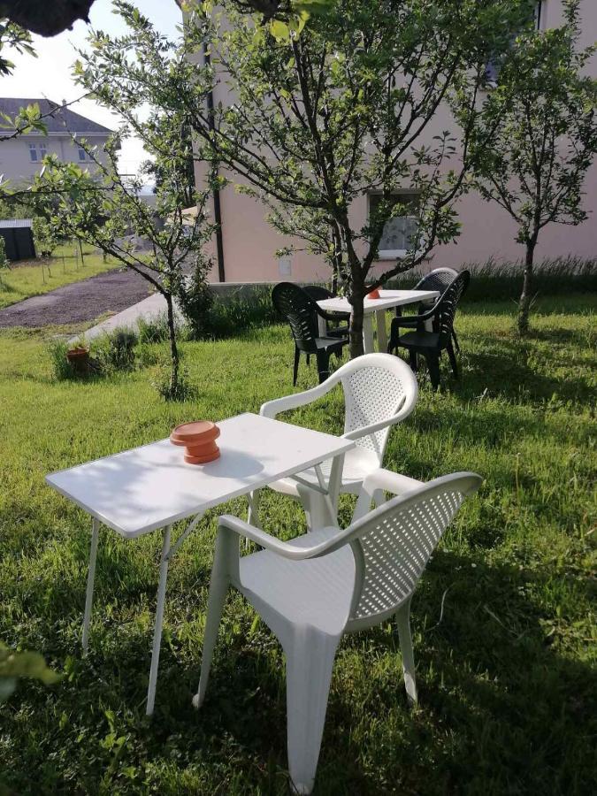 Sobe Pri Rozi Apartment Postojna Bagian luar foto